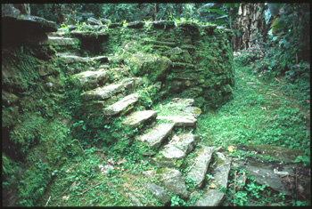 cite perdue-14.jpg